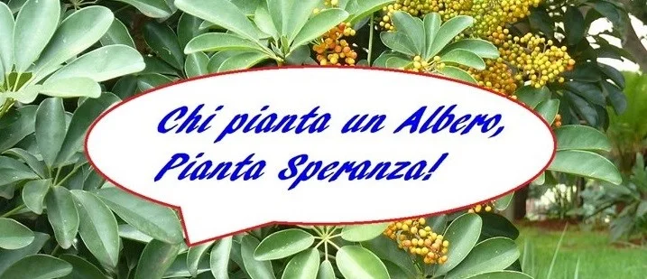 Goccia S. Antimo: Piantiamo un albero