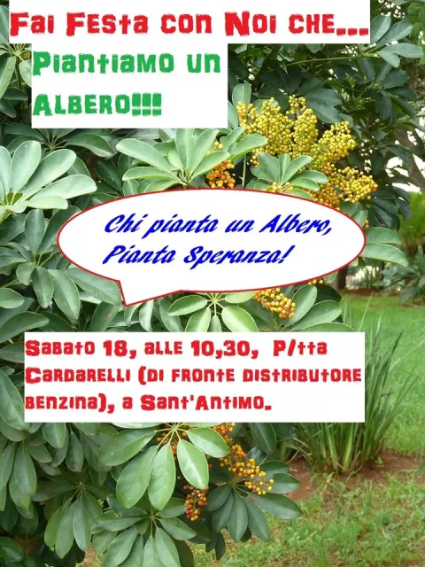 Goccia S. Antimo: Piantiamo un albero, immagine 1