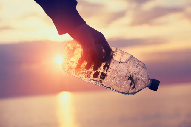Earth Day - Giornata Mondiale della Terra – 22 aprile 2024, immagine 2
