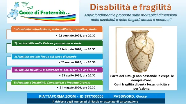Ciclo incontri webinar: Disabilità e fragilità, immagine 1